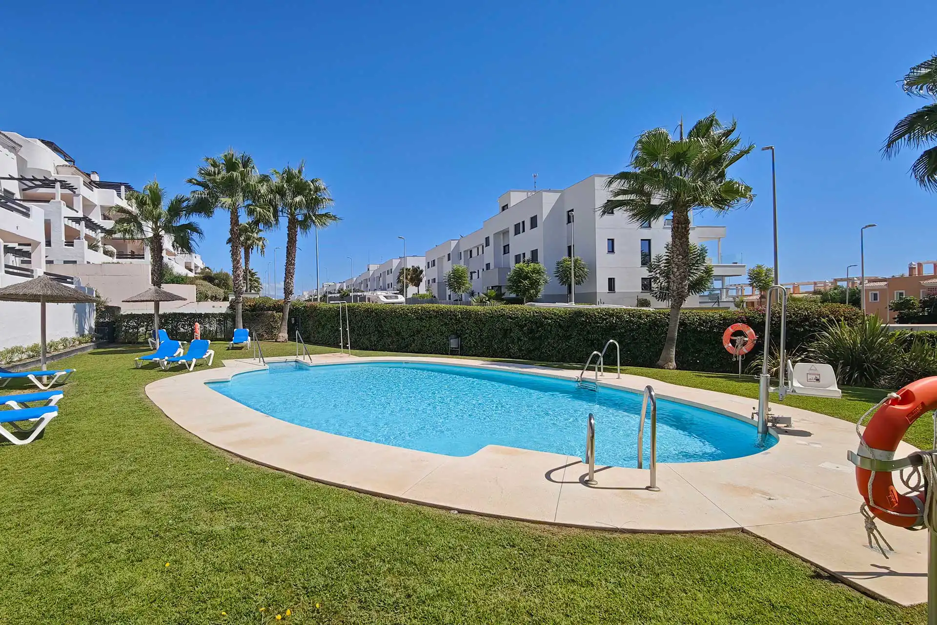 Kidney-shaped community swimming pool with blue sun loungers, palm trees, and white apartment buildings in sunny Spain